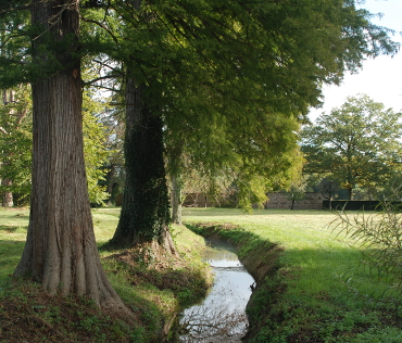 Intervention de l'agence au Parc de Bonson - Loire