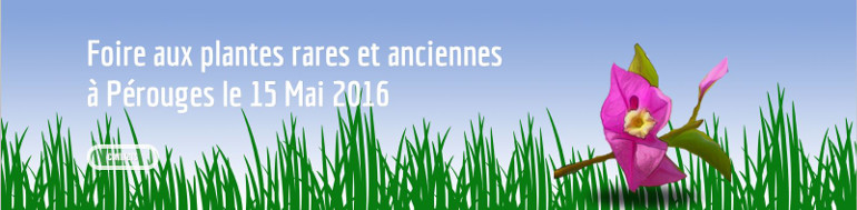 Fete plante Perouge2016-770x189