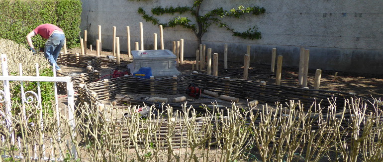 Plessis châtaignier dans un potager en Dombes