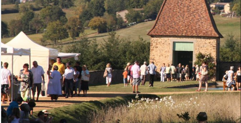 Vieilles pierres, jeunes plante à St Marcel de Félines (42)