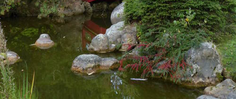 Val d'Oise Jardin-Japon