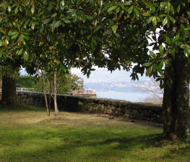 Vue sur le Lac du Bourget sous les alignements