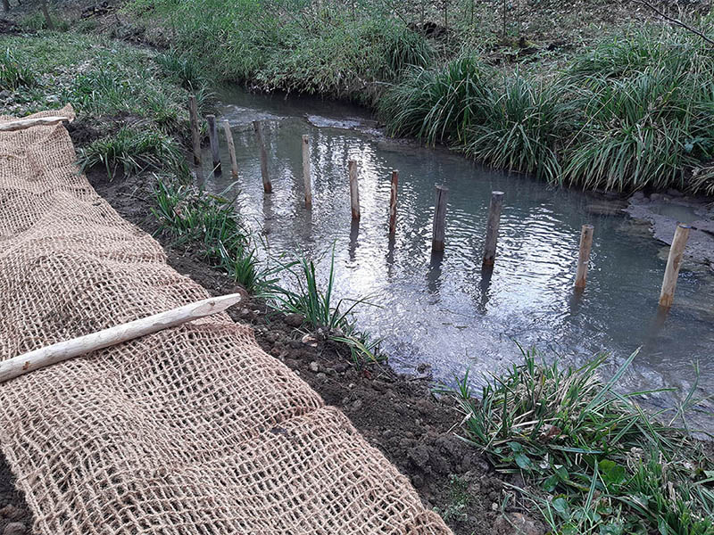 Gestion des berges