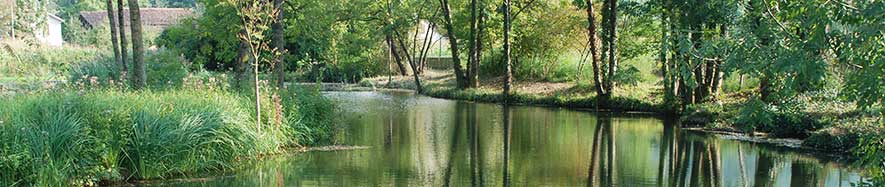 Jardin Patrimoine – Restauration et Création de Parcs et Jardins -
        