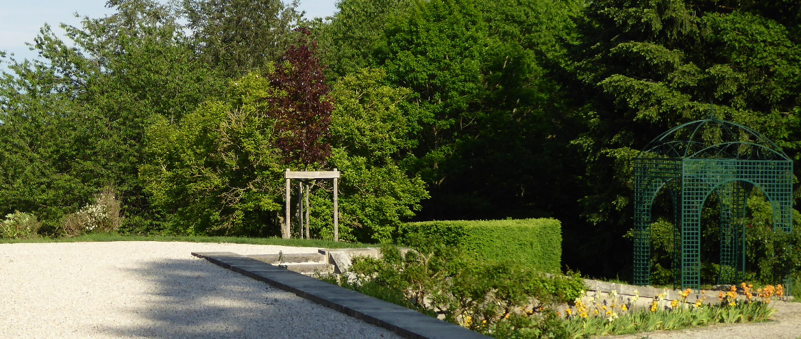 Renouvellement des plantations - Hêtre pourpre