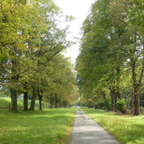 Aménagement de l'avenue d'arrivée du Château de La Serraz - Savoie (73)