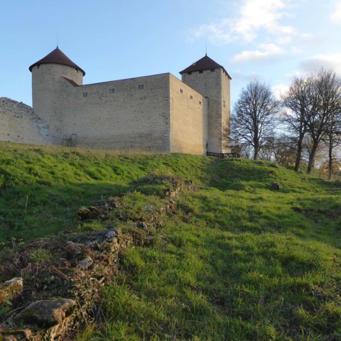 Schéma directeur de mise en valeur et d’accessibilité du château des Allymes - Ambérieu-en-Bugey (01)