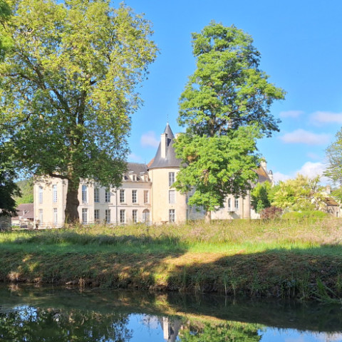 Projet de réhabilitation des jardins du château de Ricey-Bas (10)